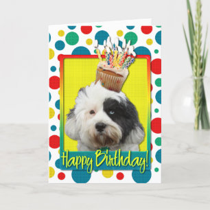 Birthday Cupcake - Tibetaanse Terrier Kaart