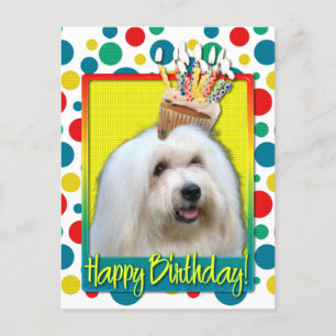 Birthday Cupcake - Tulear Coton Briefkaart