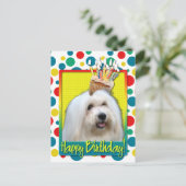 Birthday Cupcake - Tulear Coton Briefkaart (Staand voorkant)