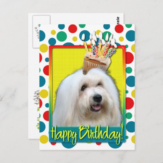 Birthday Cupcake - Tulear Coton Briefkaart (Voorkant / Achterkant)
