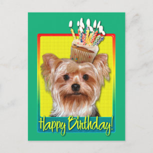 Birthday Cupcake - Yorkshire Terrier Briefkaart