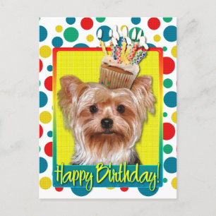 Birthday Cupcake - Yorkshire Terrier Briefkaart