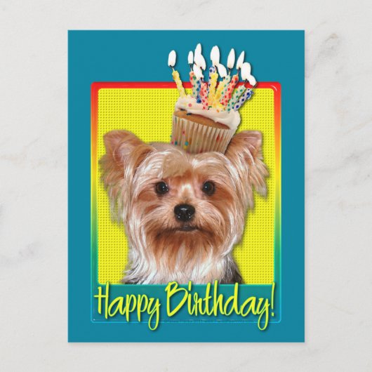 Birthday Cupcake - Yorkshire Terrier Briefkaart (Voorkant)