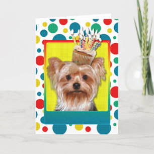 Birthday Cupcake - Yorkshire Terrier Kaart
