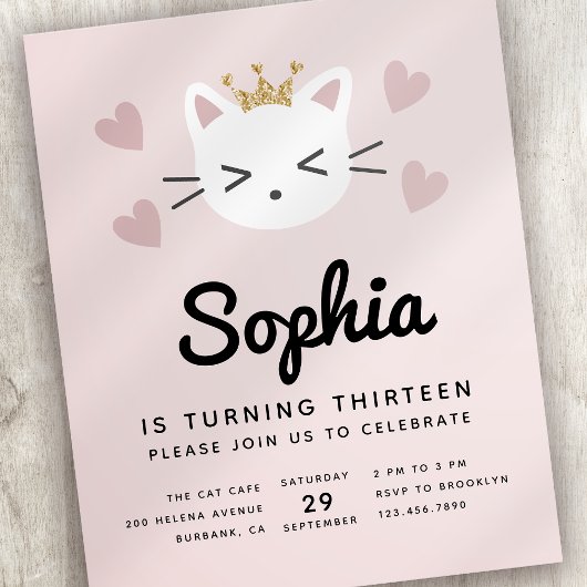 Birthday Cute Cats Pink Budget Partij