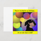 Birthday Dachshund Uitnodiging (Voorkant / Achterkant)
