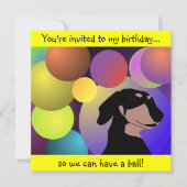 Birthday Dachshund Uitnodiging (Voorkant)