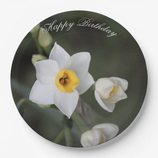 Birthday Daffodil Paper Bord (Voorkant)