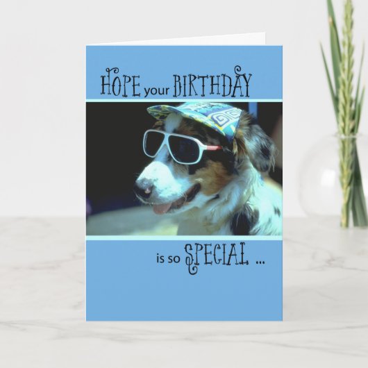 Birthday Dog in zonnebril, humoristisch Kaart (Voorkant)