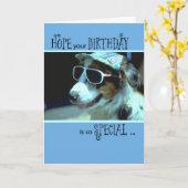 Birthday Dog in zonnebril, humoristisch Kaart (Gele Bloem)
