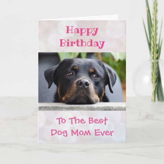 Birthday Dog Mam World's Best Ever Pet Photo Kaart (Voorkant)