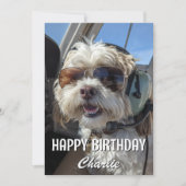 Birthday Dog Pilot Aviator Sunglasses Plane Funny Kaart (Voorkant)