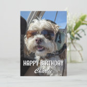 Birthday Dog Pilot Aviator Sunglasses Plane Funny Kaart (Staand voorkant)