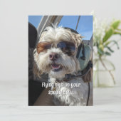 Birthday Dog Pilot Aviator Sunglasses Plane Funny Kaart (Staand voorkant)