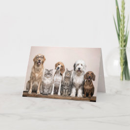 Birthday Dogs and Cats  Kaart