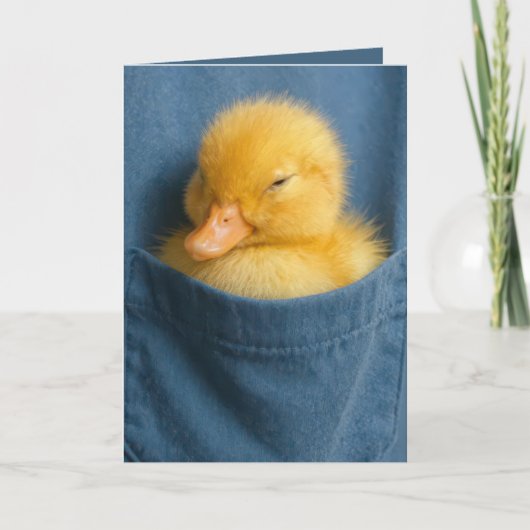 Birthday Duckling In a Blue T-shirt Pocket Kaart (Voorkant)
