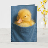 Birthday Duckling In a Blue T-shirt Pocket Kaart (Gele Bloem)