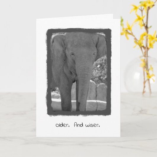Birthday Elephant Card Kaart (Gele Bloem)