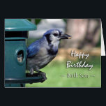 Birthday for Birth Son Blue Jay on Bird Feeder<br><div class="desc">Op deze verjaardagskaart staat een Blue Jay bij een vogelaanvoer voor een geboren zoon. Een geweldige kaart voor de vogelobservateur in je leven. Afbeelding en vers copyright © Shoaff Ballanger Studios.</div>