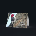 Birthday for Daughter, Red-kopige Woodpecker Kaart<br><div class="desc">Een Red-head Woodpecker staat op deze grappige verjaardagskaart voor een dochter.  Kunst,  afbeelding en vers copyright © Shoaff Ballanger Studios.</div>