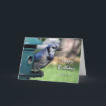 Birthday for Sister, Blue Jay in Bird Feeder Kaart<br><div class="desc">Op deze verjaardagskaart staat een Blue Jay bij een vogelaanvoer voor een zus. Een geweldige kaart voor de vogelbewaker in de familie. Afbeelding en vers copyright © 2014,  Shoaff Ballanger Studios.</div>