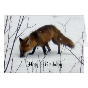 Birthday Fox in sneeuwkaart