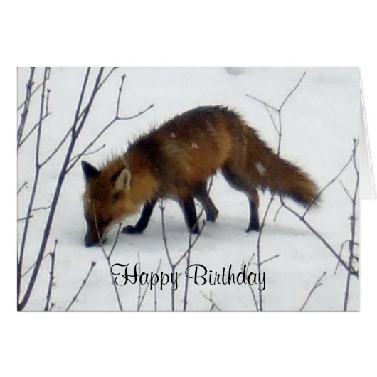 Birthday Fox in sneeuwkaart (Voorkant Horizontaal)