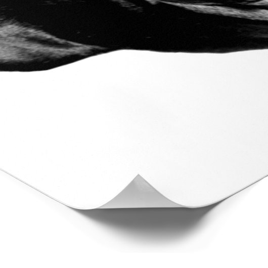 Birthday French Bulldog poster (Hoek)