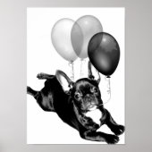 Birthday French Bulldog poster (Voorkant)