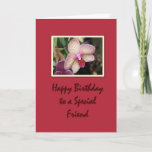 Birthday Friend Orchid Kaart<br><div class="desc">Mooie orchidee.  Birthday wil een speciale vriend.</div>