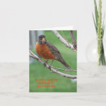 Birthday Friend, Robin & Cake Kaart<br><div class="desc">Fotografie van de natuur,  van een Amerikaanse Robin,  een verjaardagsgroet voor een vriend,  en een cake bestaat uit deze kaart.</div>