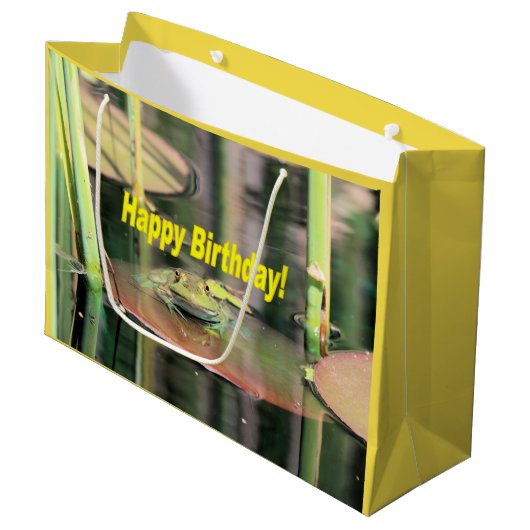 Birthday Frog Large Cadeautasje (Voorkant Gekanteld)