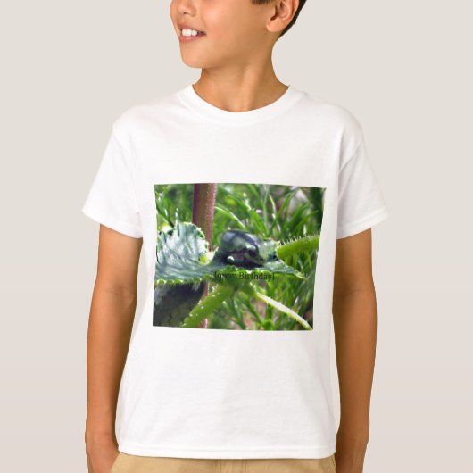 Birthday Frog T-shirt (Voorkant)