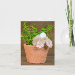 birthday fun bunny in flower pot kaart