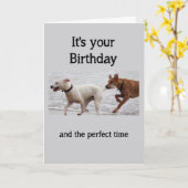 Birthday Fun Dogs Grabbing Tail niet gedraagt Kaart (Gele Bloem)
