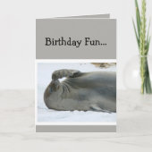 Birthday Fun Laughing Seal Age Humor Kaart (Voorkant)