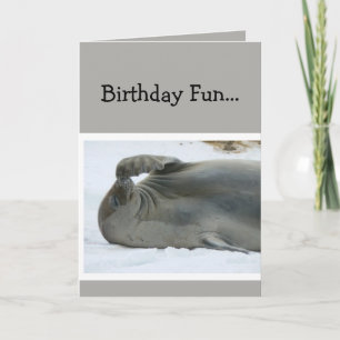 Birthday Fun Laughing Seal Age Humor Kaart