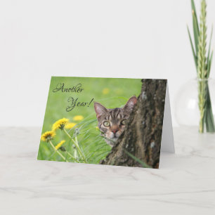 Birthday Funny Cat Tabby Natuur Aanpassen Kaart