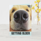 BIRTHDAY FUNNY DIE OUDERE DOG-WENSKAARTEN KRIJGT KAART (Gele Bloem)