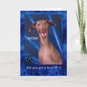 Birthday Funny Doberman Dog Painting Kaart