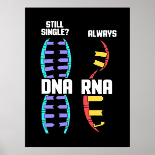 Birthday Gift   Bioloog-DNA van de leraar en RNA Poster
