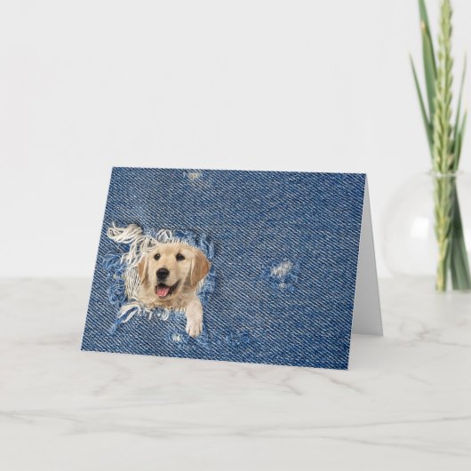 Birthday golden retriever in denim hole kaart (Voorkant)