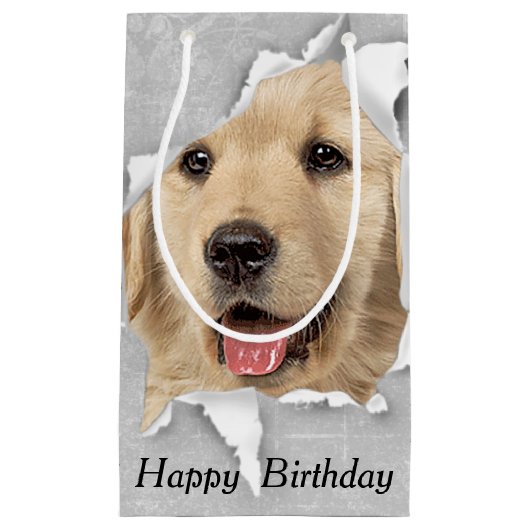 Birthday Golden Retriever in papieren hol Klein Cadeauzakje (Voorkant)