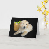 Birthday Golden Retriever met appels Kaart (Gele Bloem)