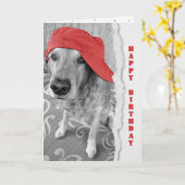 Birthday Golden Retriever met rood Pet Kaart (Gele Bloem)