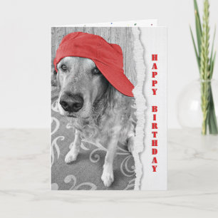 Birthday Golden Retriever met rood Pet Kaart