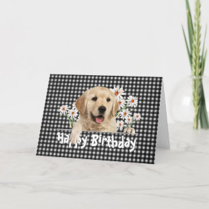 Birthday Golden Retriever op Gingham Kaart