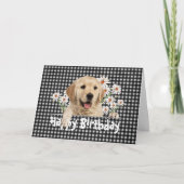 Birthday Golden Retriever op Gingham Kaart (Voorkant)