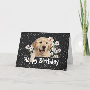 Birthday Golden Retriever op Polka Dots Kaart