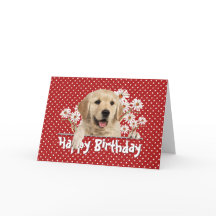 Birthday Golden Retriever op Polka Dots